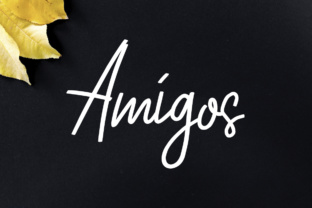 Amigos: A Script Font That Works