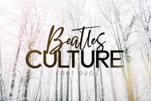 Beatles Culture: A Font That Adds Soul to Campaigns