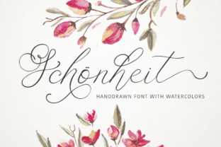 Font Review: Schönheit for Campaign Design