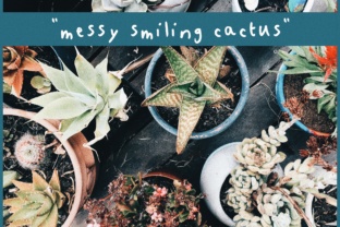 Messy Smiling Cactus: A Playful Script Font for Handmade Charm