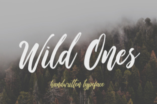 Wild Ones: A Script Font That Brings Branding to Life
